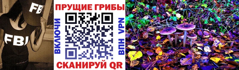 Псилоцибиновые грибы MAGIC MUSHROOMS  Адыгейск 